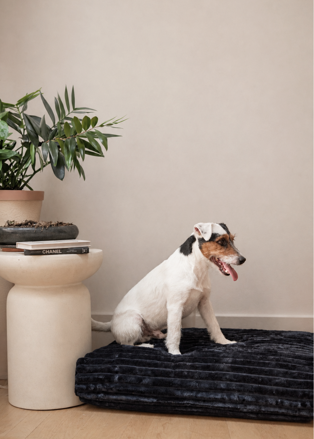 Zwart design hondenkussen voor kleine en grote honden