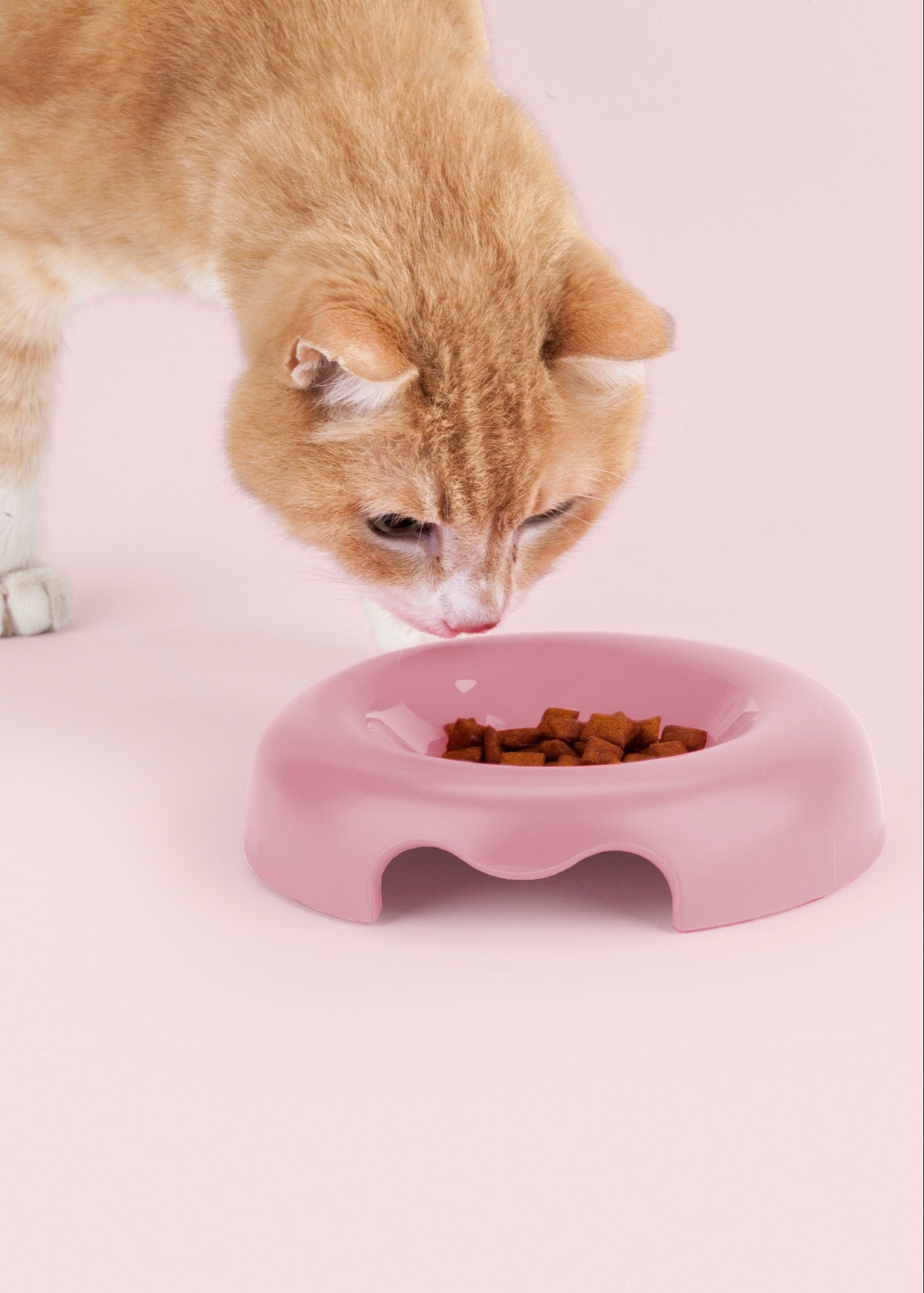 Kitty Cat voerbak met antislip bodem – brede lage katten voerbak roze