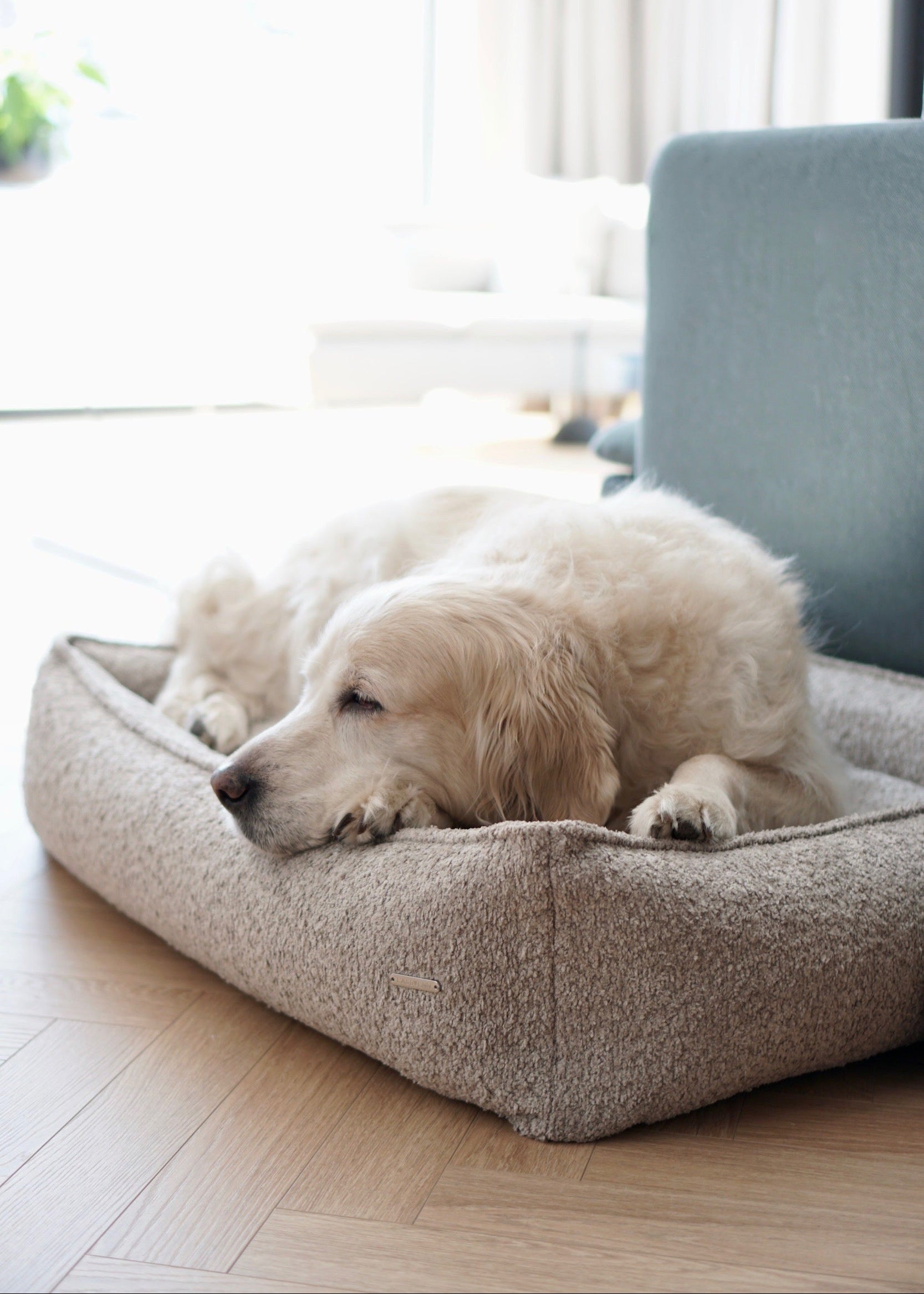 stijlvol hondenbed bouclé stof – Labbvenn Buklaa in modern interieur