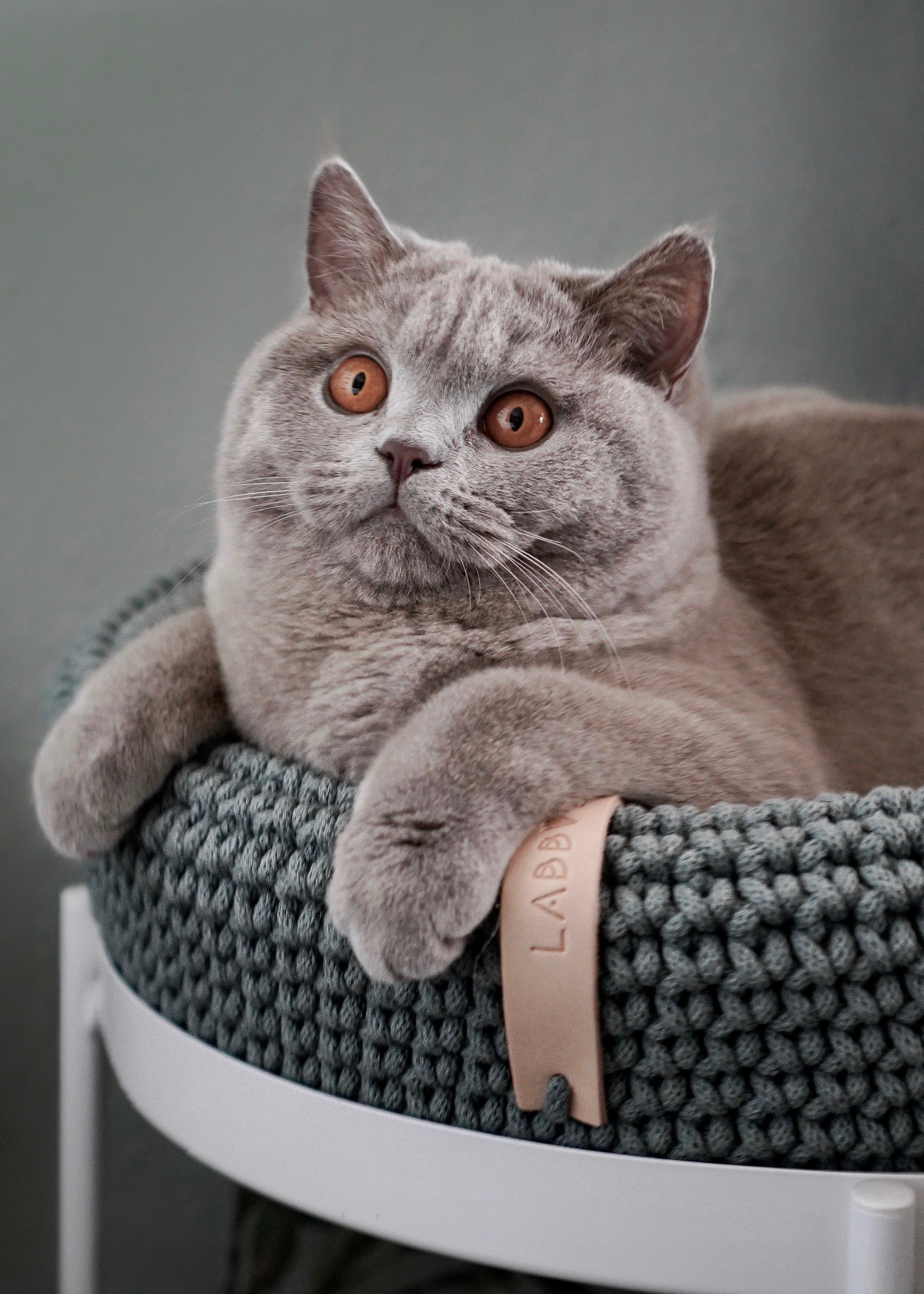 luxe antraciet kattenmand Labbvenn Coco – design kattenmand