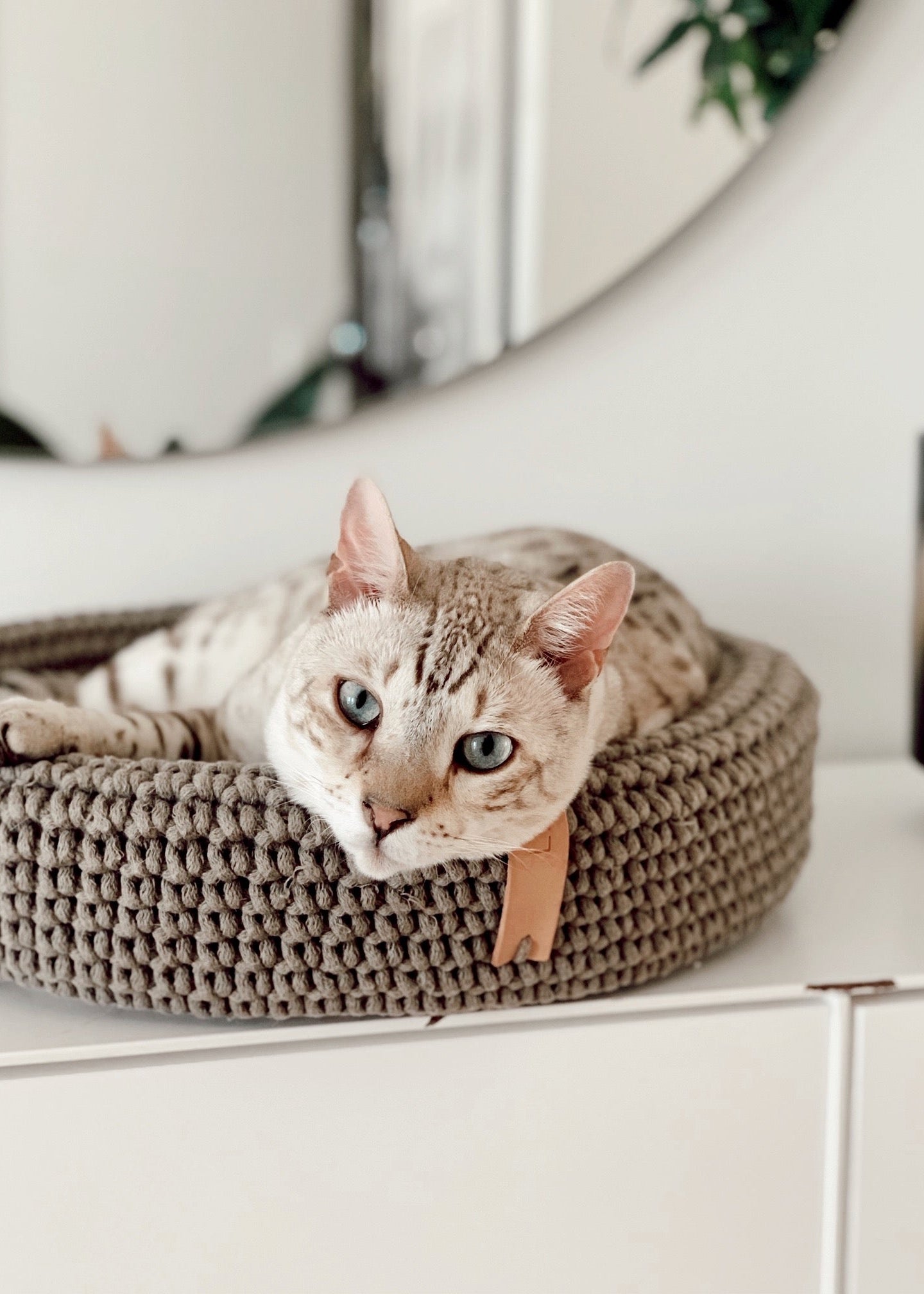 bruine Labbvenn Coco kattenmand van zacht materiaal – stijlvolle kattenmand Saar & Lou