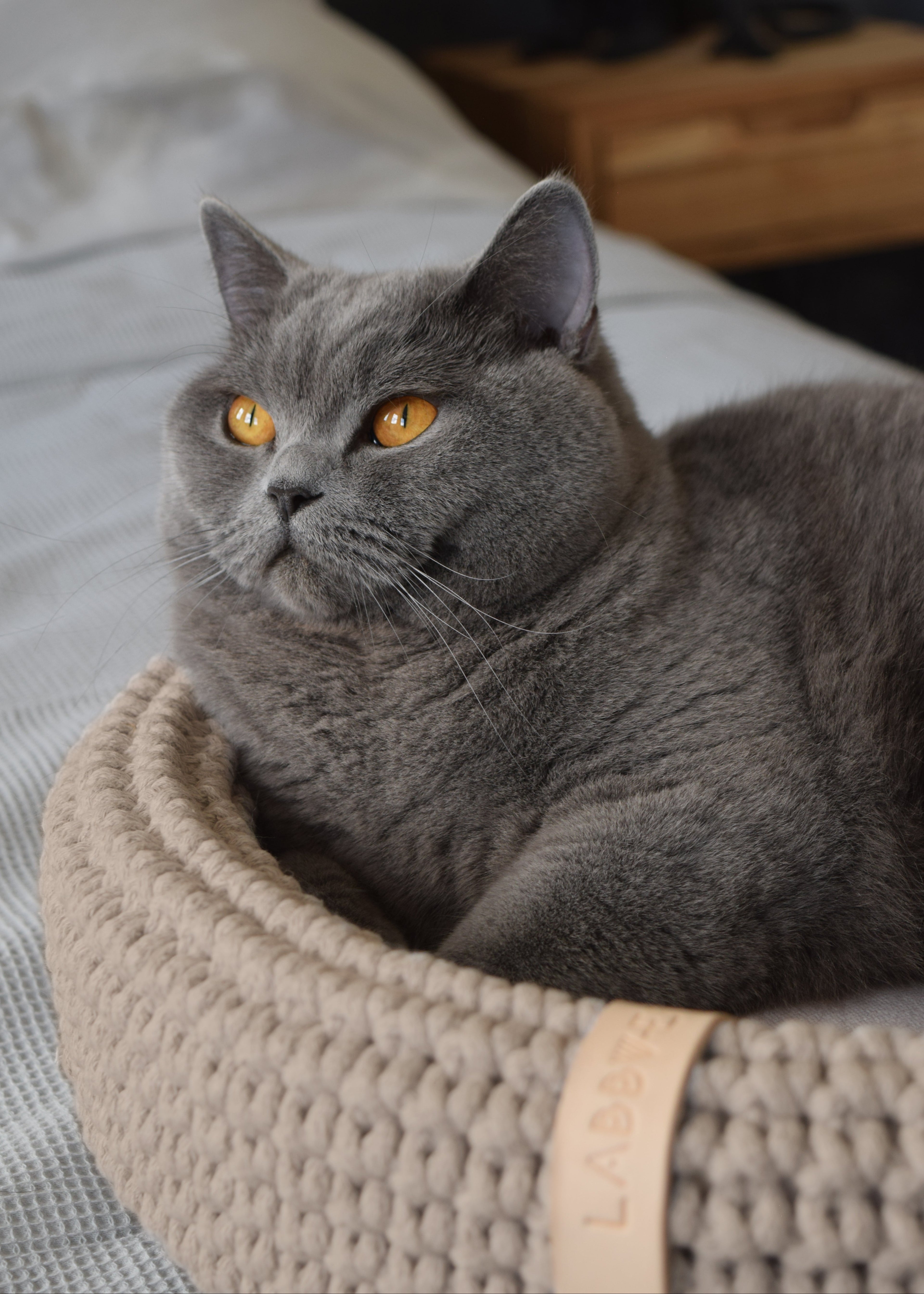 Labbvenn Coco kattenmand bruin – stijlvolle kattenmand Saar & Lou