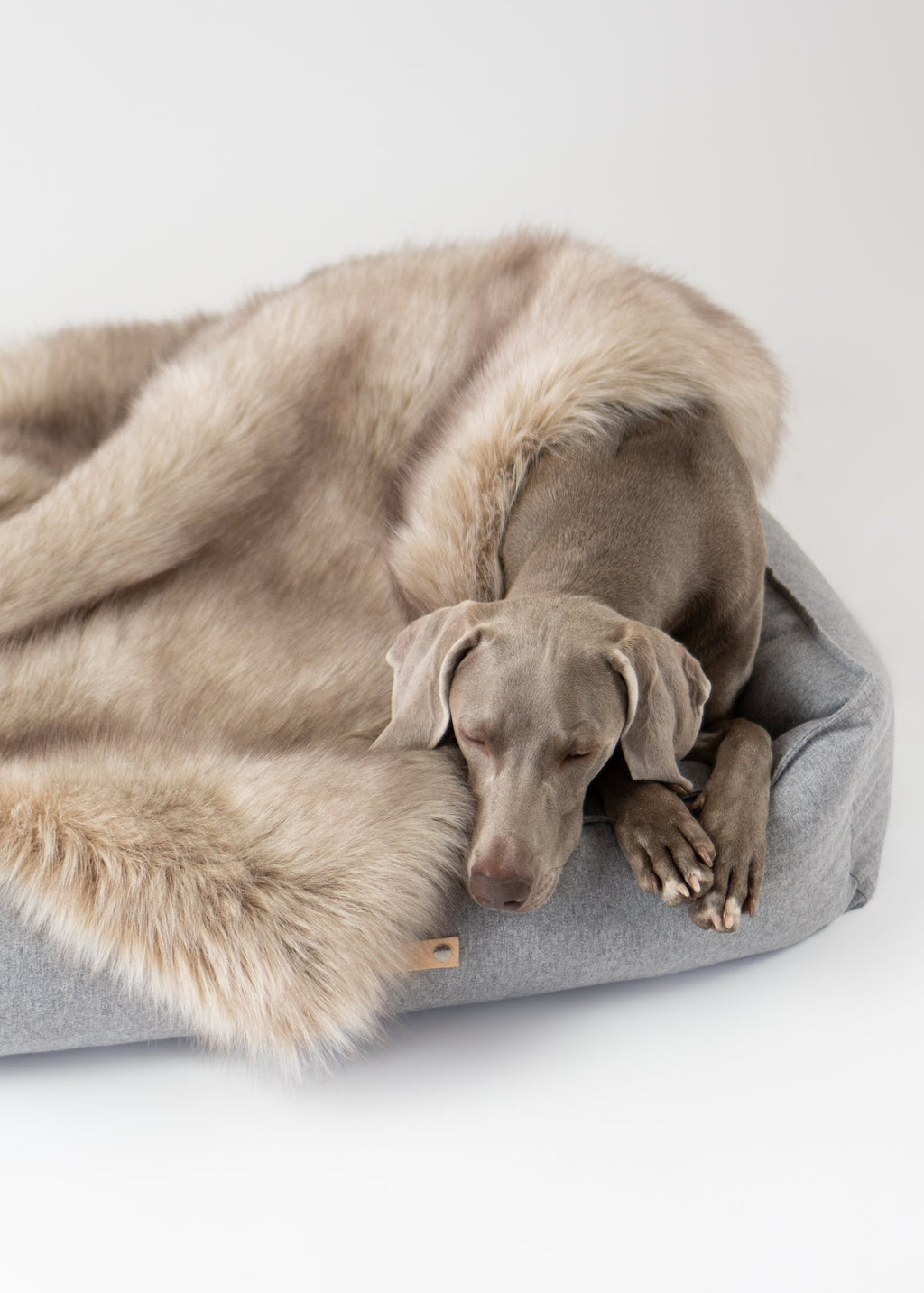 Labbvenn Föra deken voor hond en kat – zachte fluffy deken