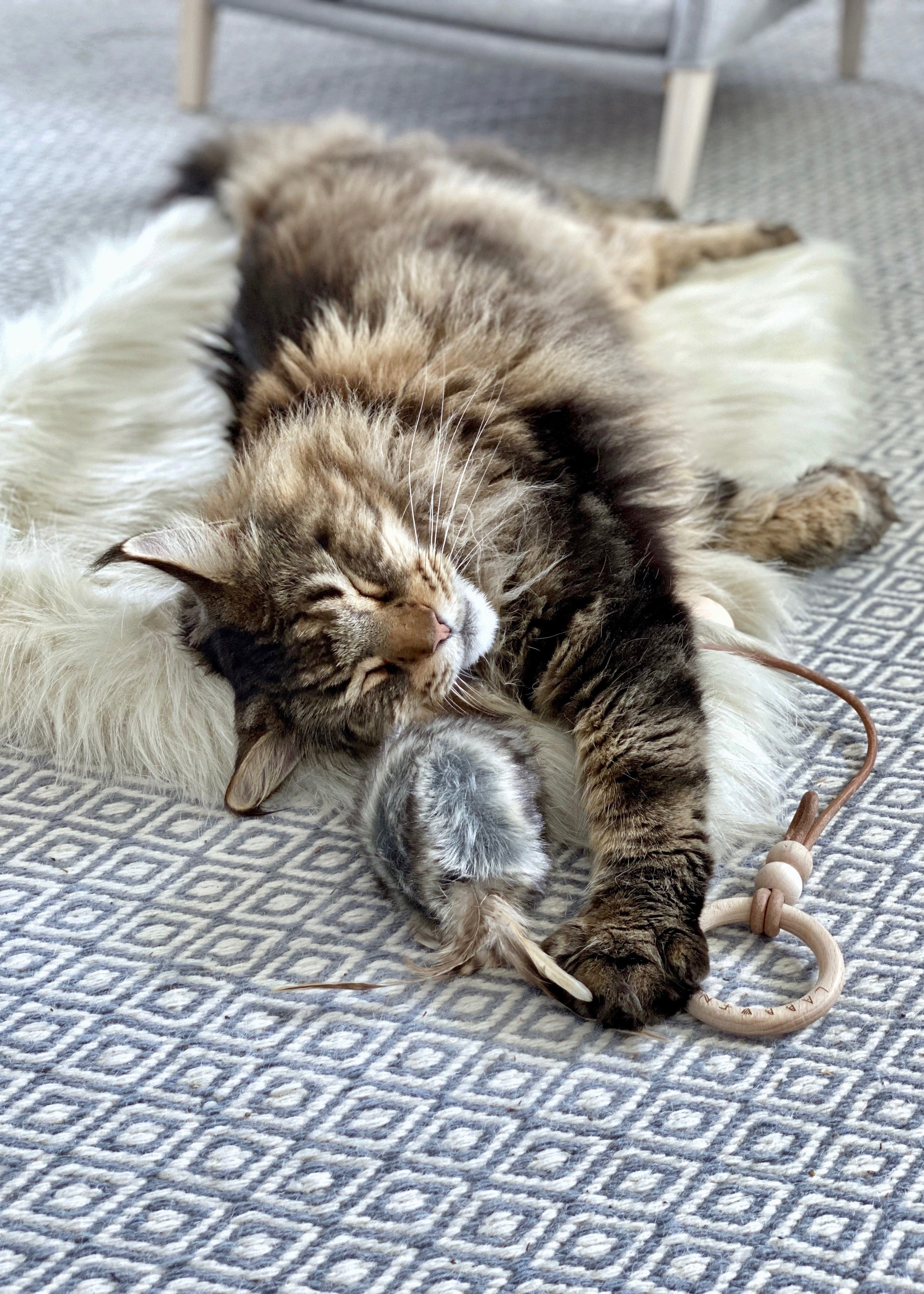 zachte warme deken voor hond en kat – fluffy huisdierendeken Föra Labbvenn