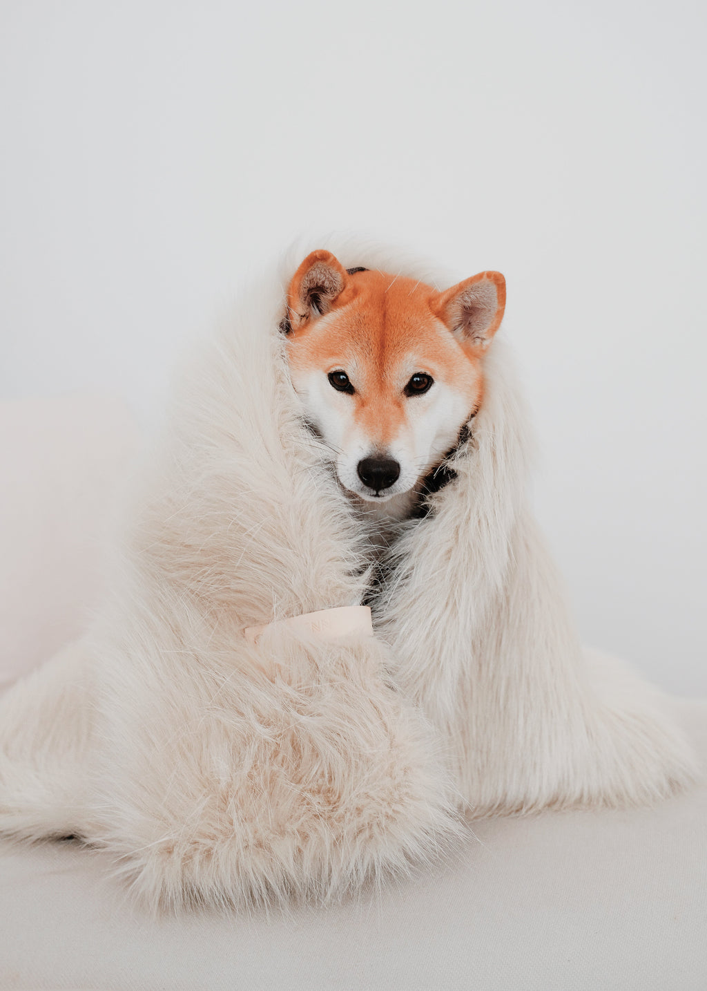 fluffy huisdierendeken met zachte vachtstructuur – warme deken voor hond en kat