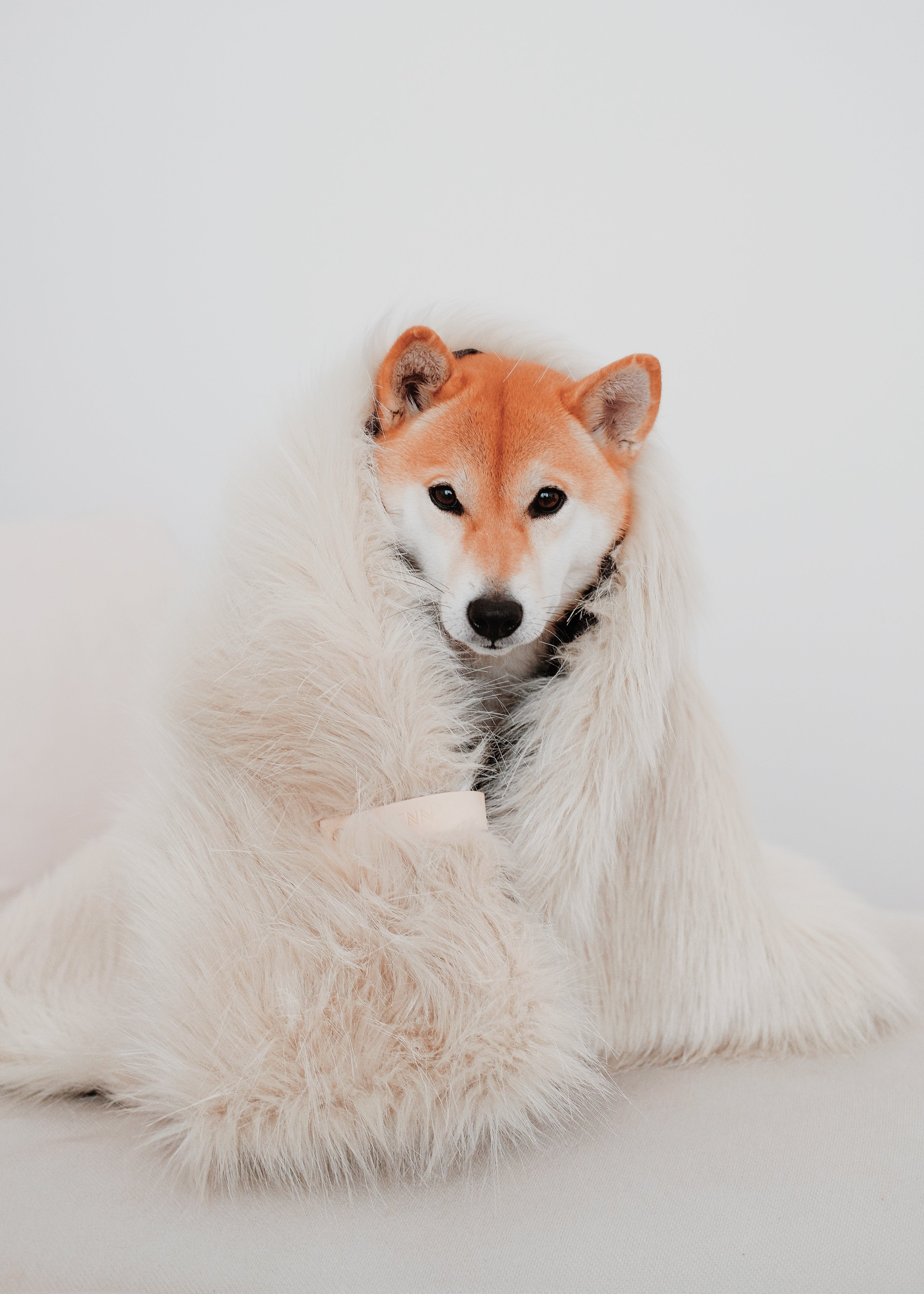 fluffy huisdierendeken met zachte vachtstructuur – warme deken voor hond en kat