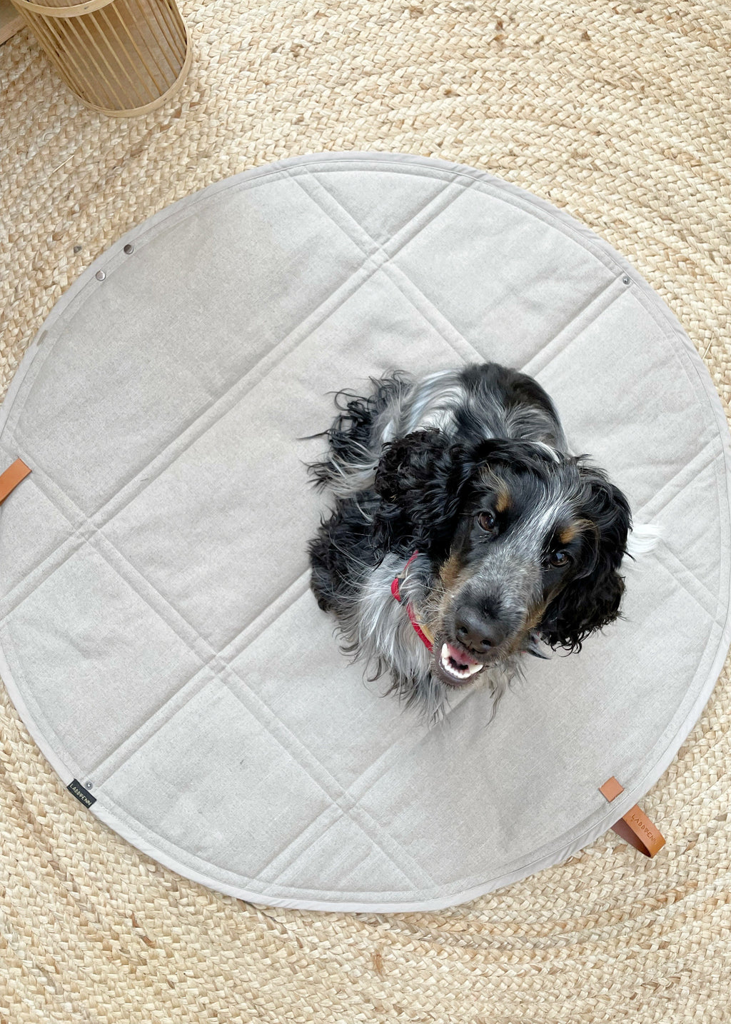 Labbvenn Okka reismat voor hond – compacte en stijlvolle honden reismat