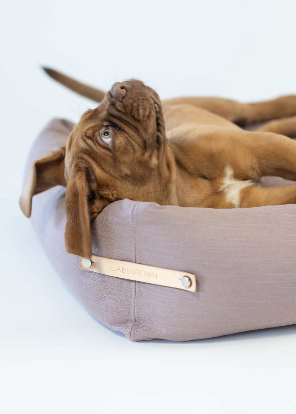 Stokke hondenmand Labbvenn – ruim en comfortabel hondenbed