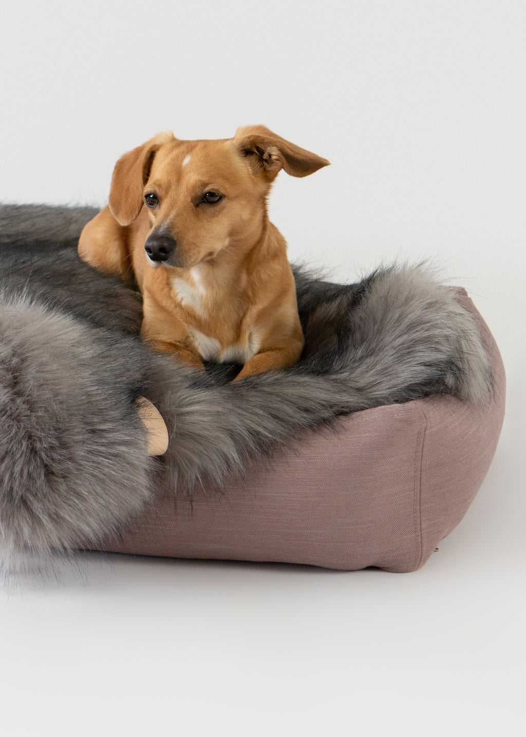 Labbvenn Stokke hondenbed met afneembare hoes – wasbaar en comfortabel