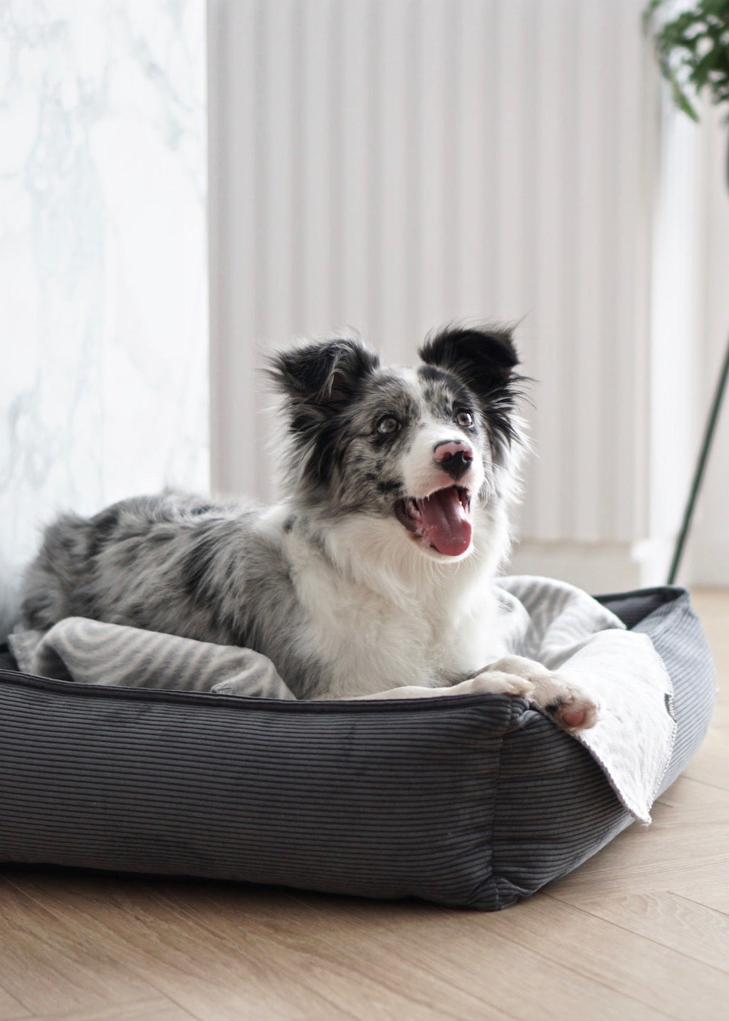 Strippo hondenbed Labbvenn ribfluweel – luxe hondenbed voor in huis grijs