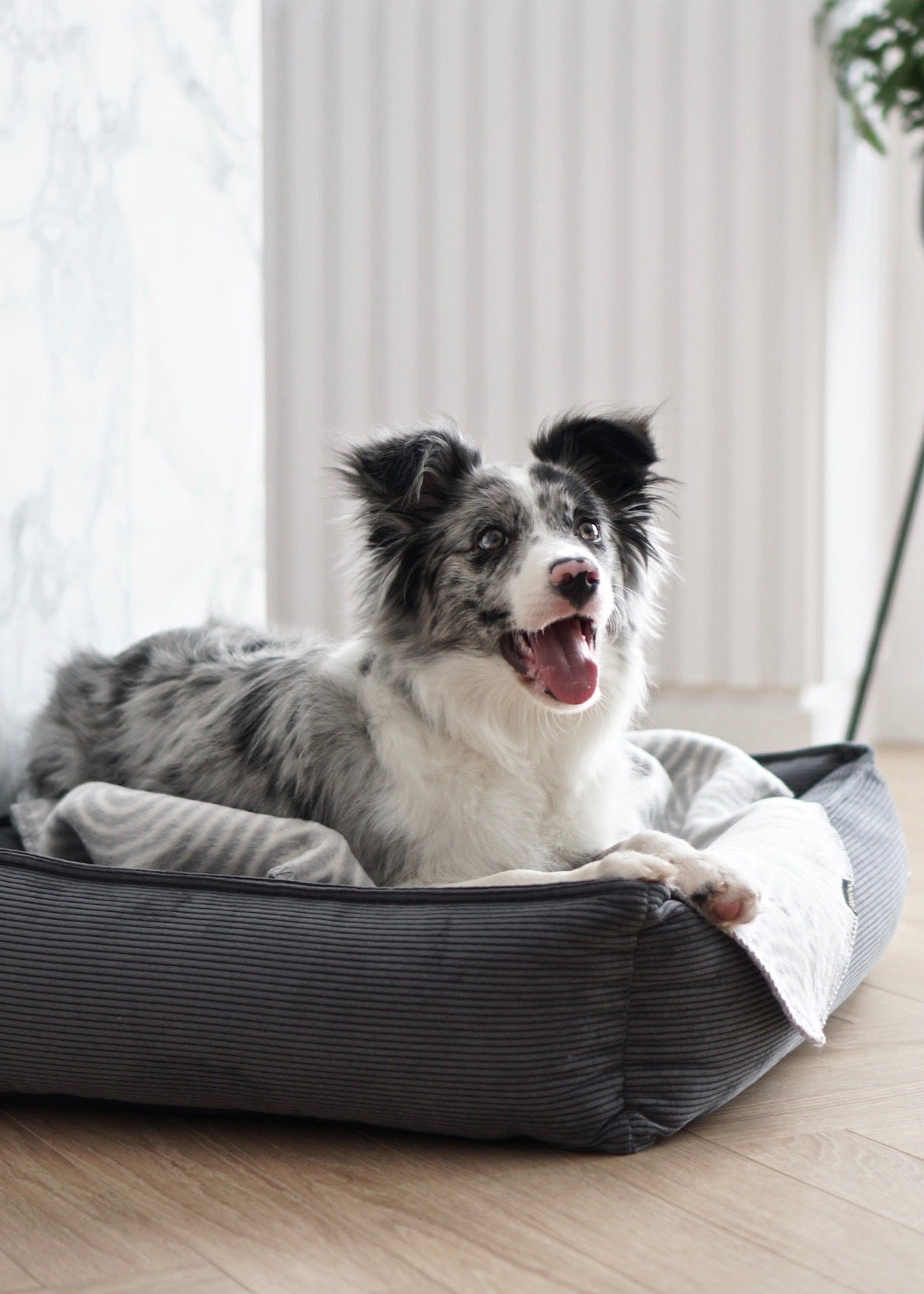 Strippo hondenbed Labbvenn ribfluweel – luxe hondenbed voor in huis grijs