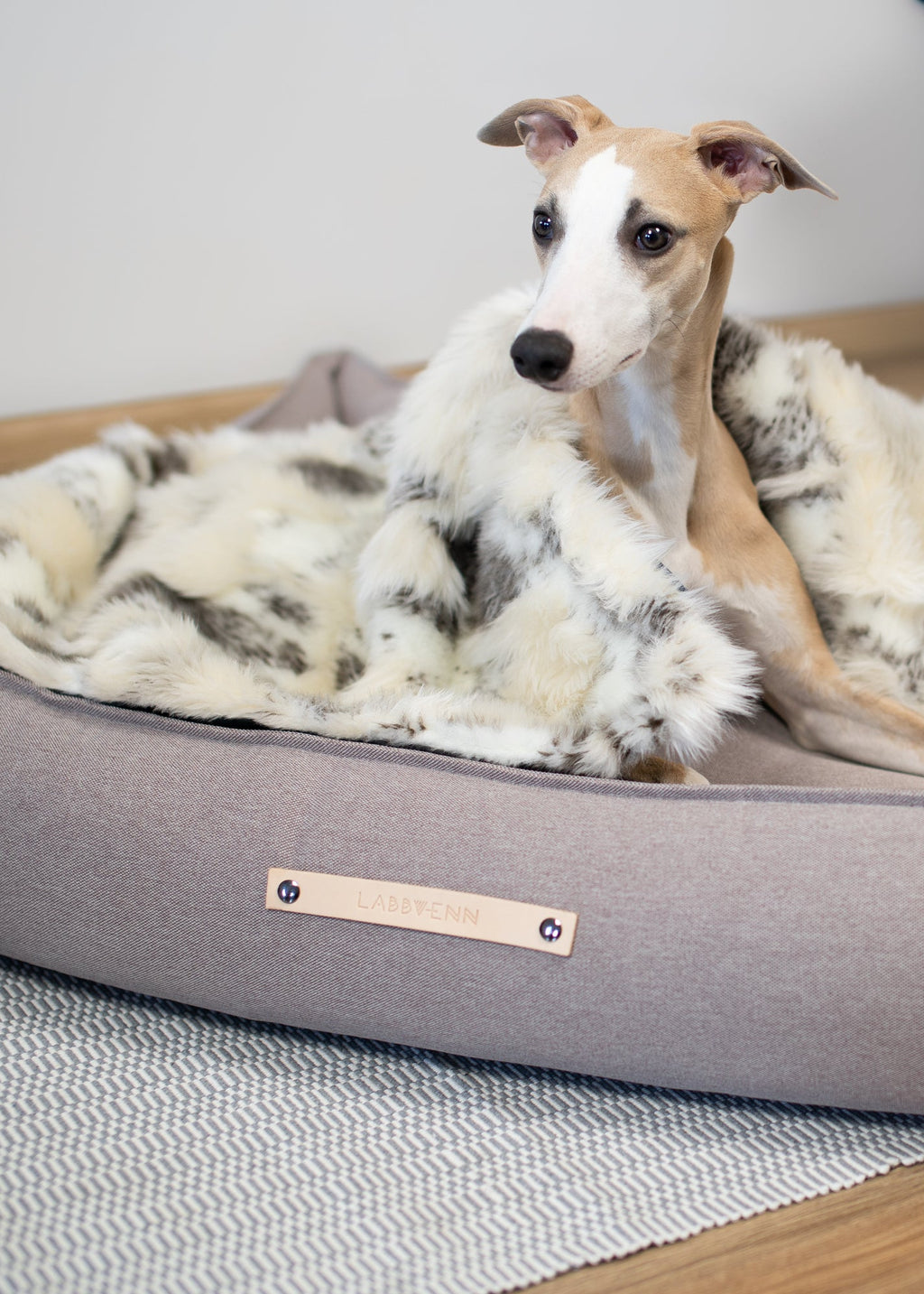 Töve hondenbed Labbvenn – strak design hondenbed met comfort