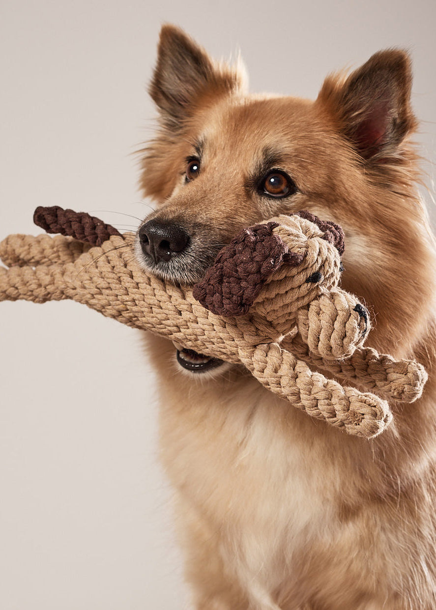 Laboni Doggy Dog hondenspeeltje van katoen touw – duurzaam en veilig