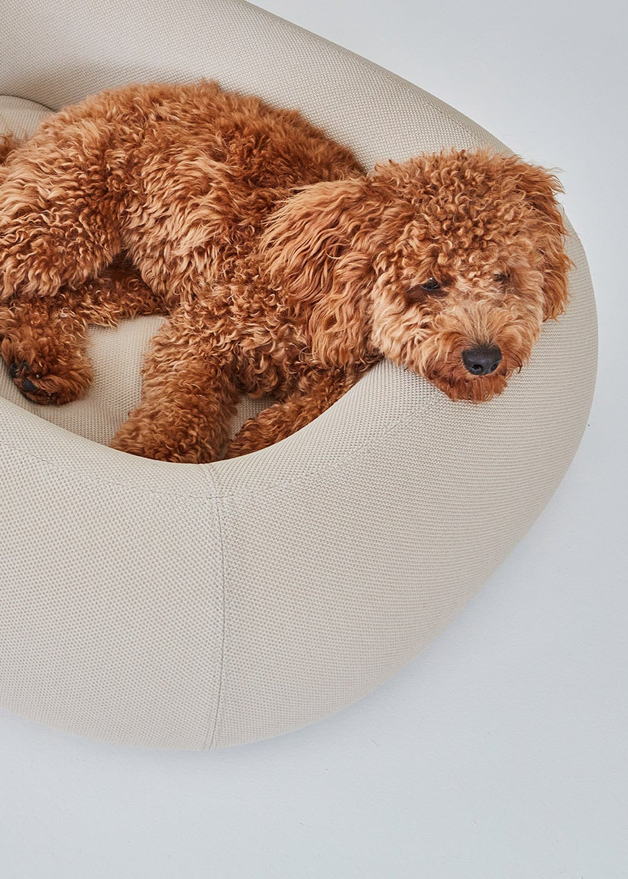 Modern hondenbed met stevige schuimranden, orthopedisch matras en strak design voor optimaal comfort en ondersteuning