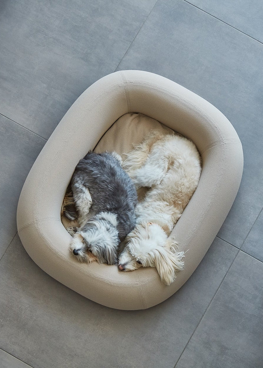 Modern hondenbed met stevige schuimranden, orthopedisch matras en strak design voor optimaal comfort en ondersteuning