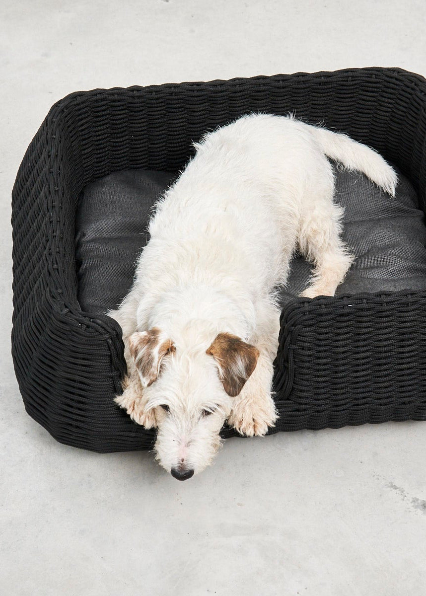 MiaCara Mio hondenmand design hondenbed binnen en buiten