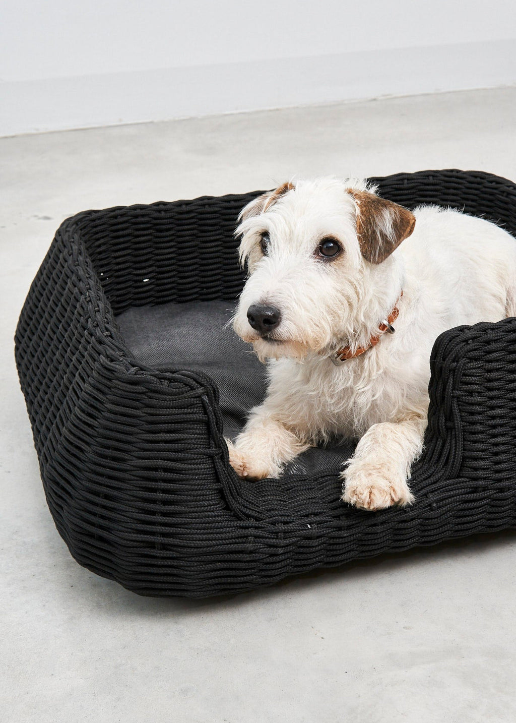 Mio hondenmand design hondenbed binnen en buiten