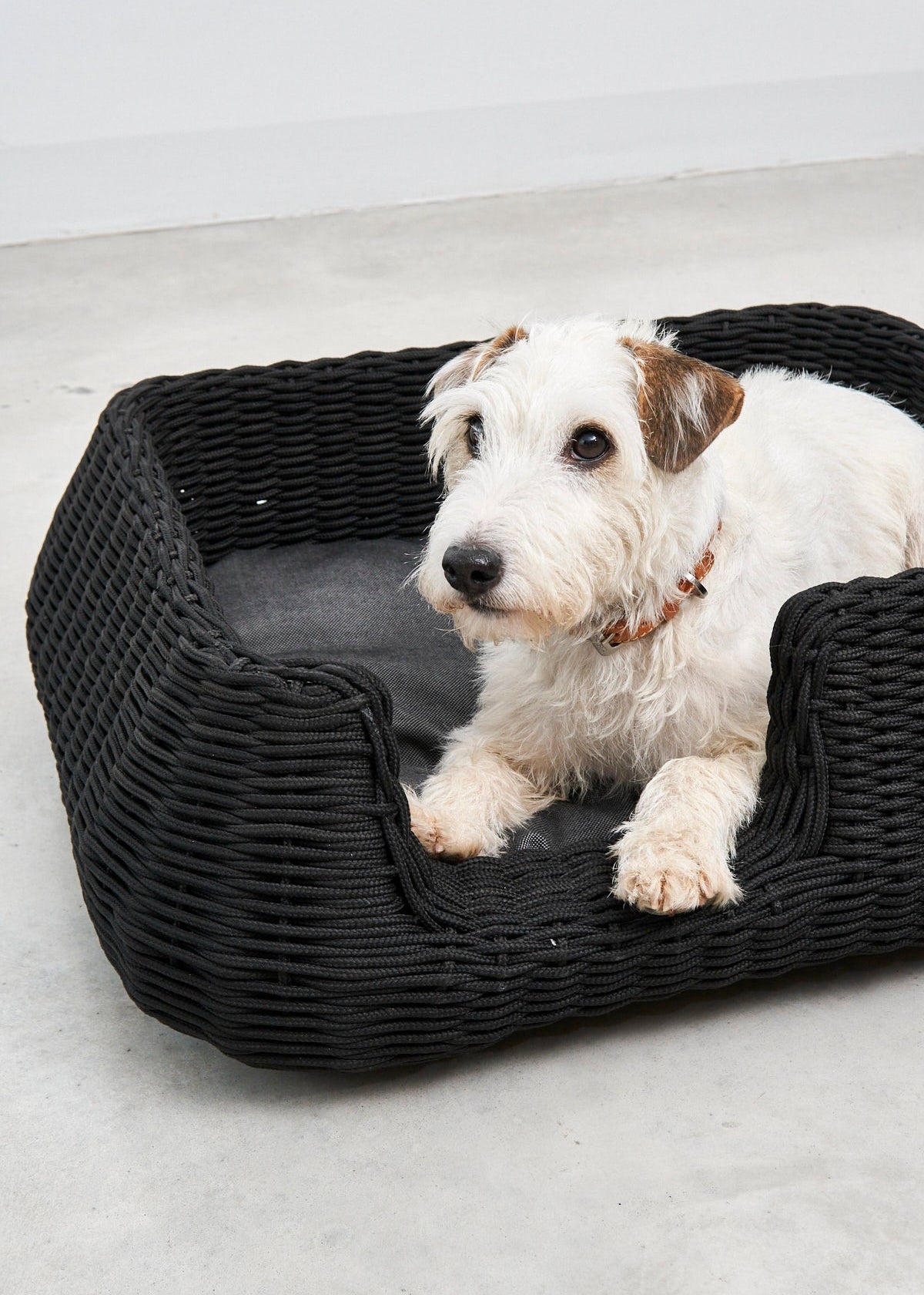 Mio hondenmand design hondenbed binnen en buiten