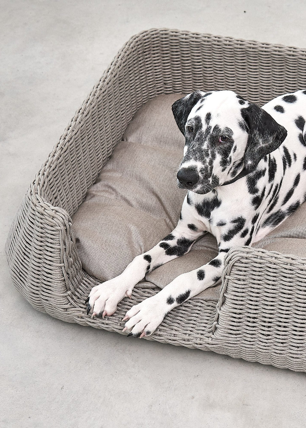 Mio hondenmand design hondenbed binnen en buiten