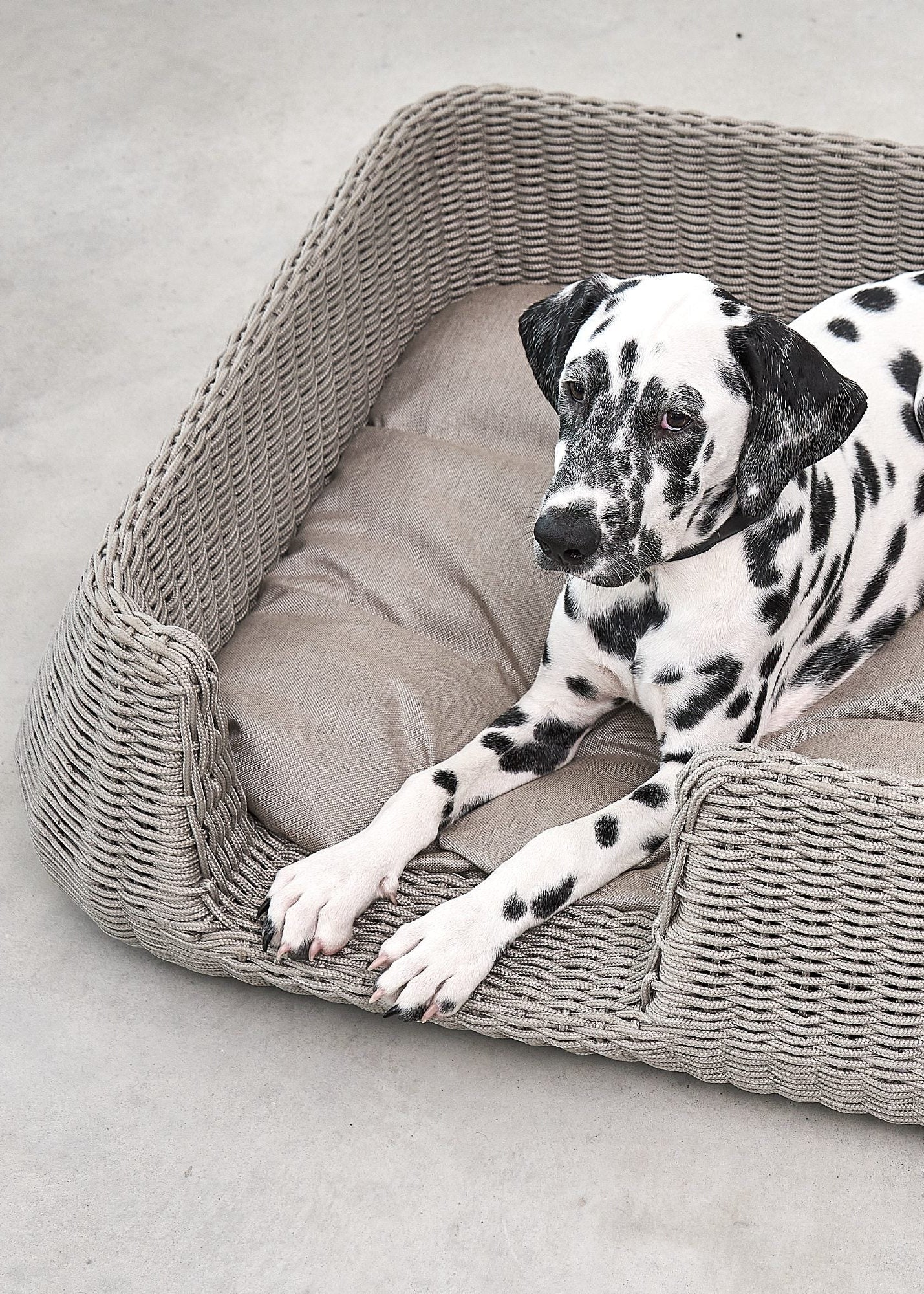 Mio hondenmand design hondenbed binnen en buiten