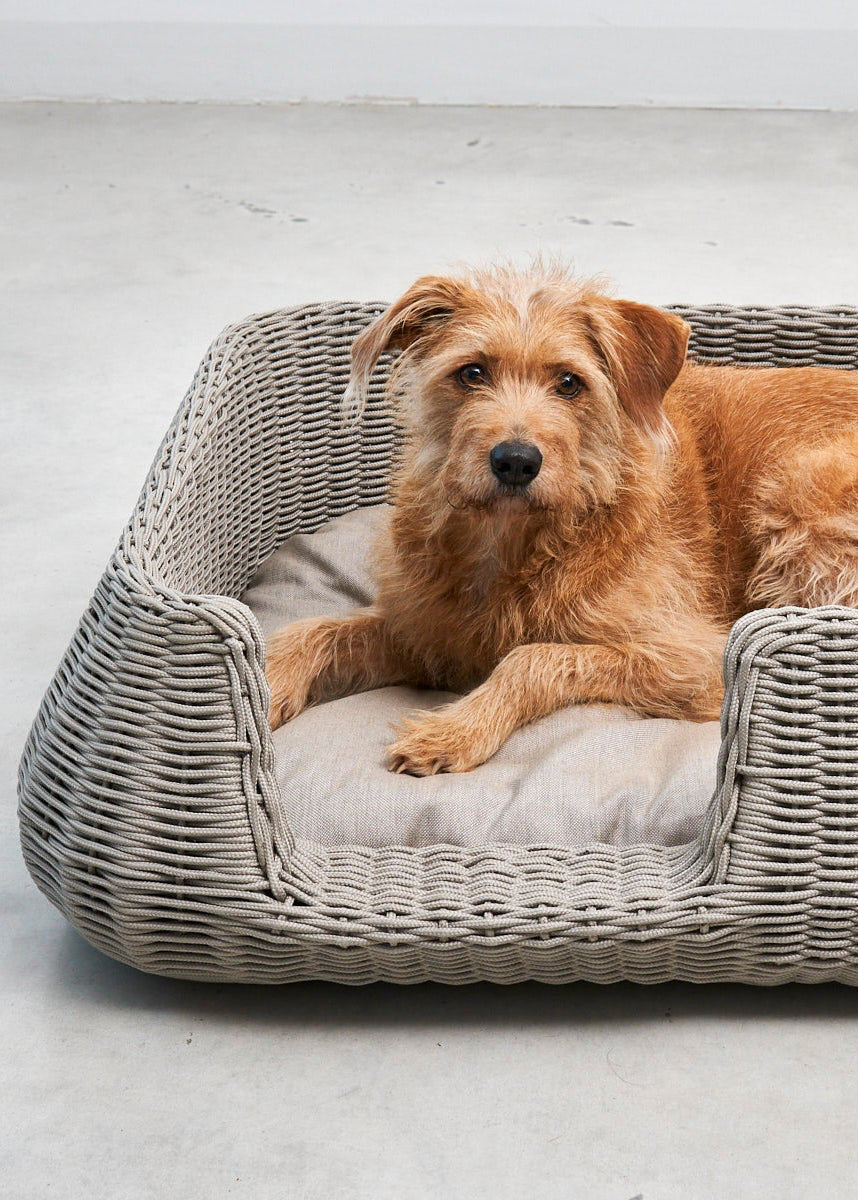 Mio hondenmand design hondenbed binnen en buiten