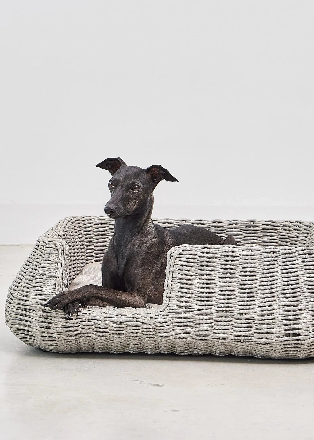 Mio hondenmand design hondenbed binnen en buiten