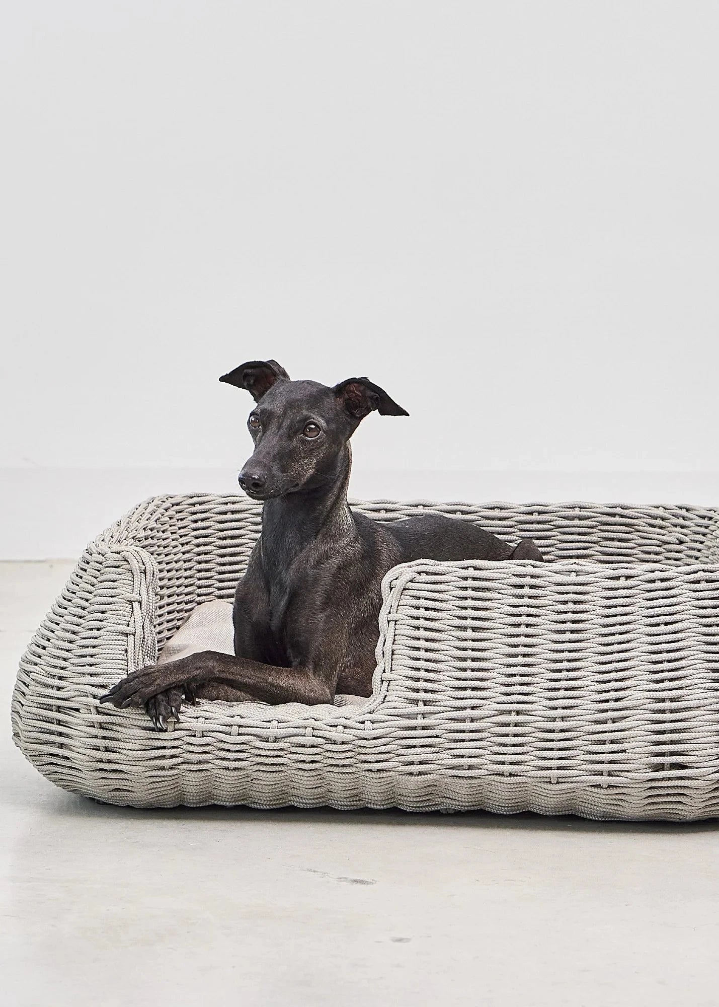 Mio hondenmand design hondenbed binnen en buiten