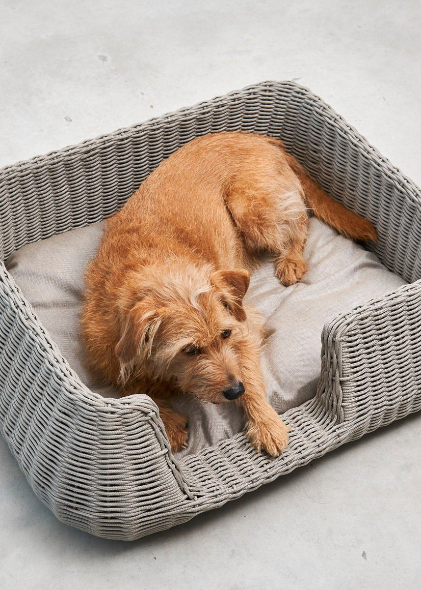 Mio hondenmand design hondenbed binnen en buiten