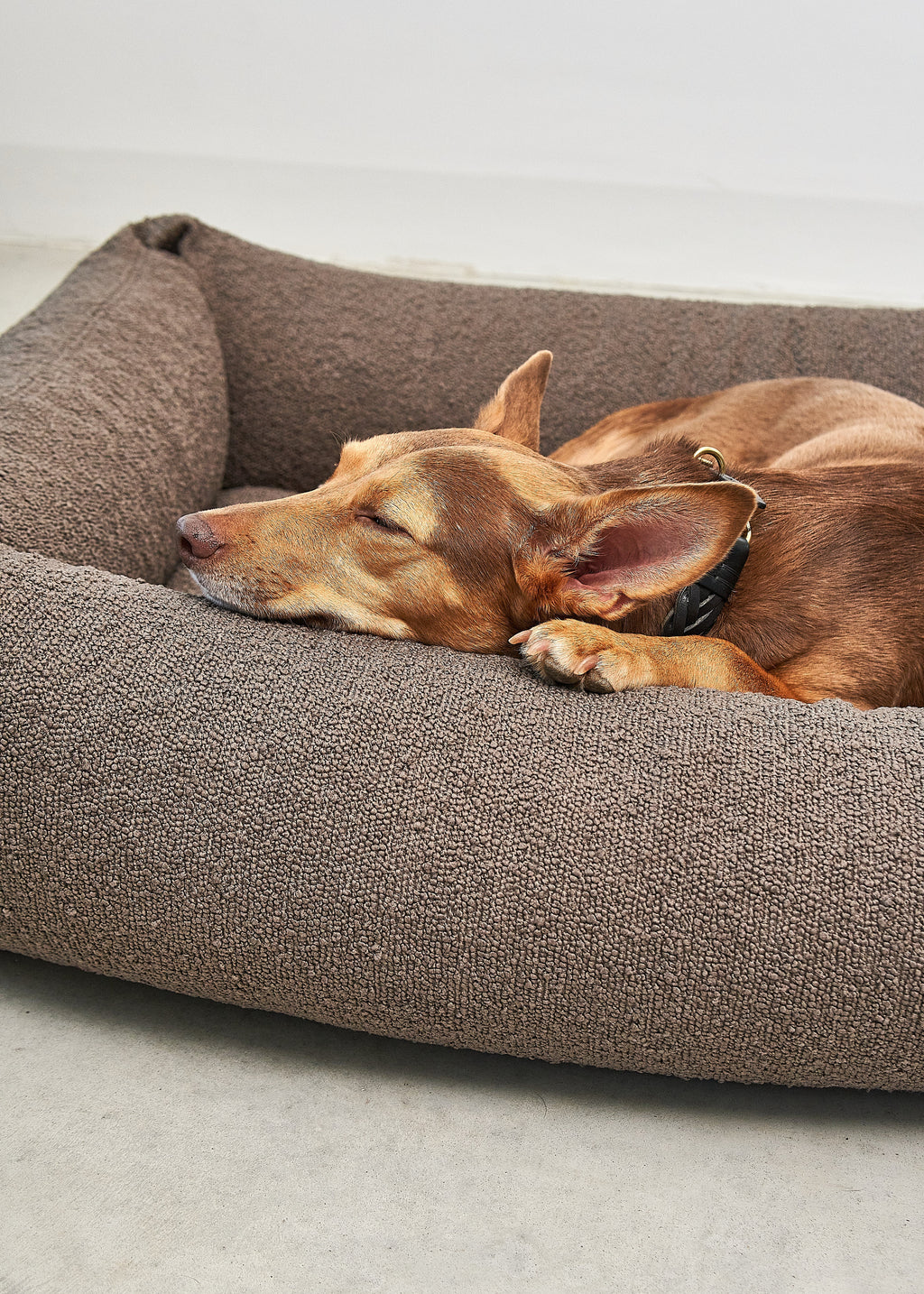 Modern hondenbed met bouclé stof, orthopedisch matras en afritsbare hoes.