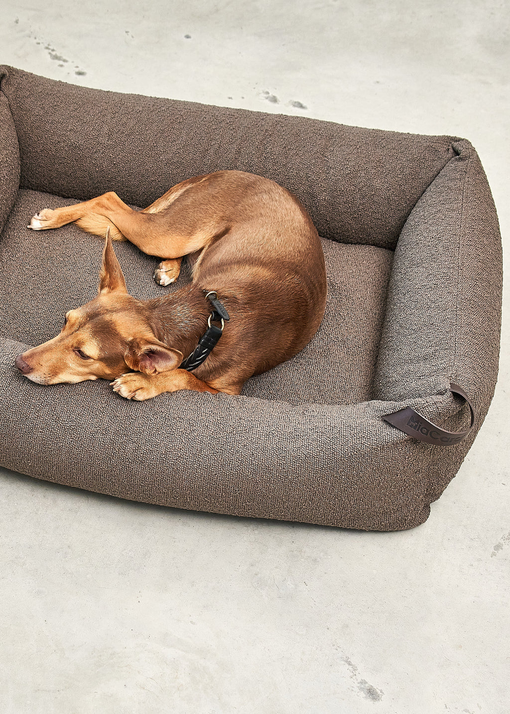 Modern hondenbed met bouclé stof, orthopedisch matras en afritsbare hoes.