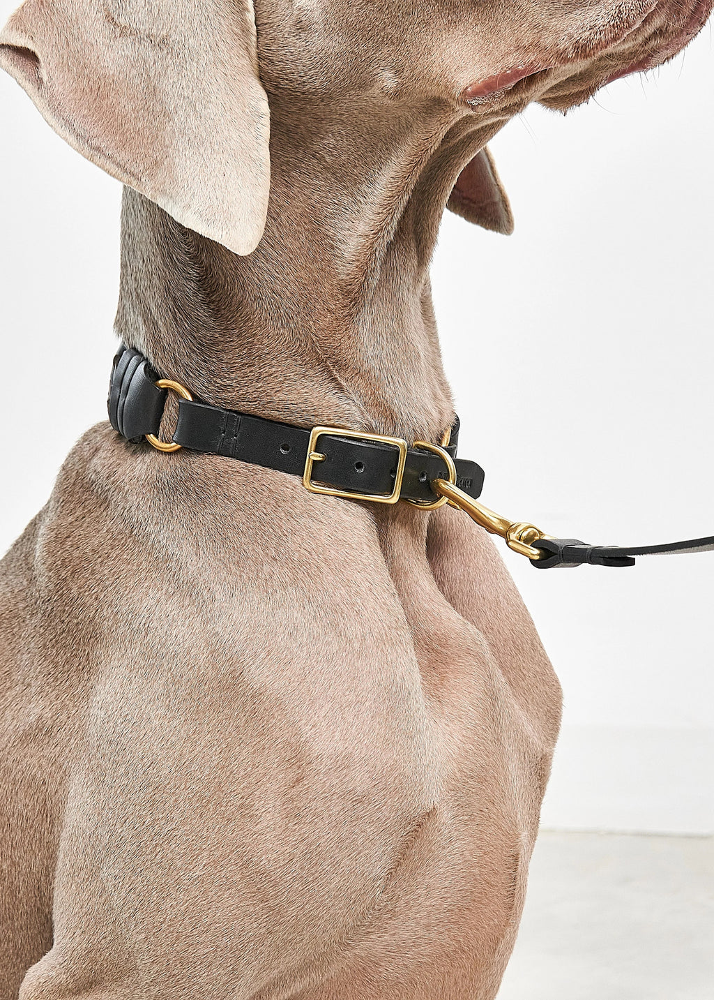 Handgeweven hondenhalsband van plantaardig gelooid leer met messing details