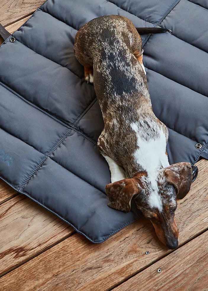 Strada reismat opvouwbaar reisbed voor honden