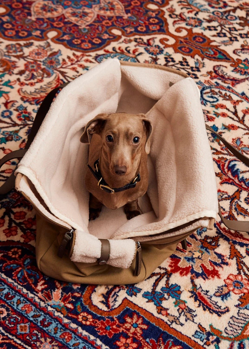 Tasca hondendraagtas voor kleine honden met sherpa kussen