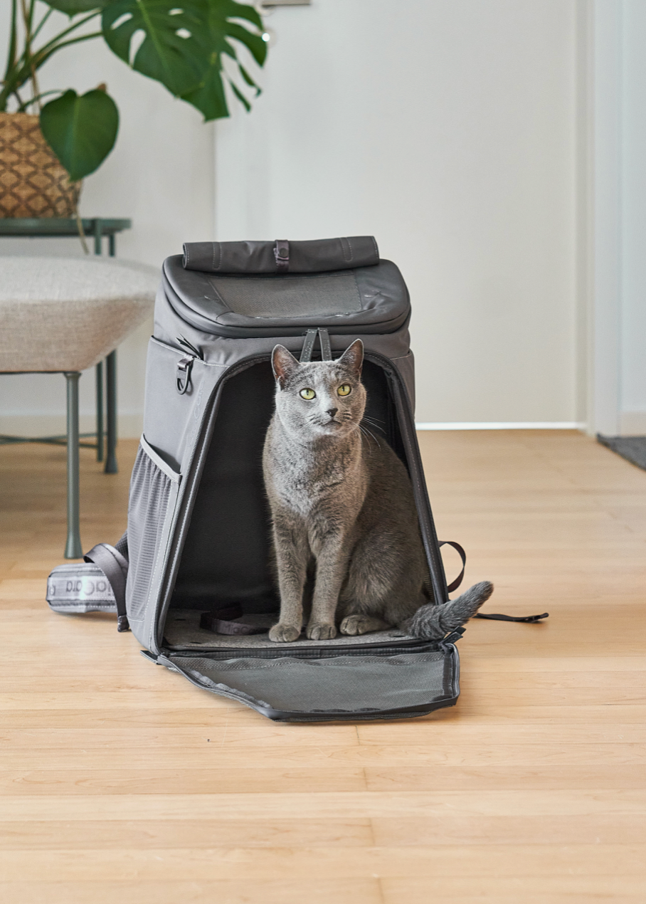 Kattenrugzak Zaino met mesh ventilatie en zacht kussen