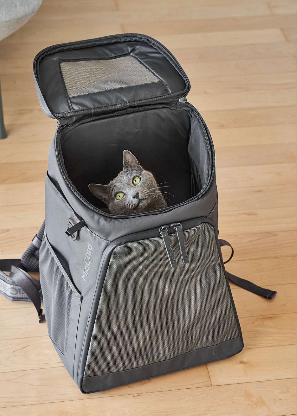 Kattenrugzak Zaino met mesh ventilatie en zacht kussen