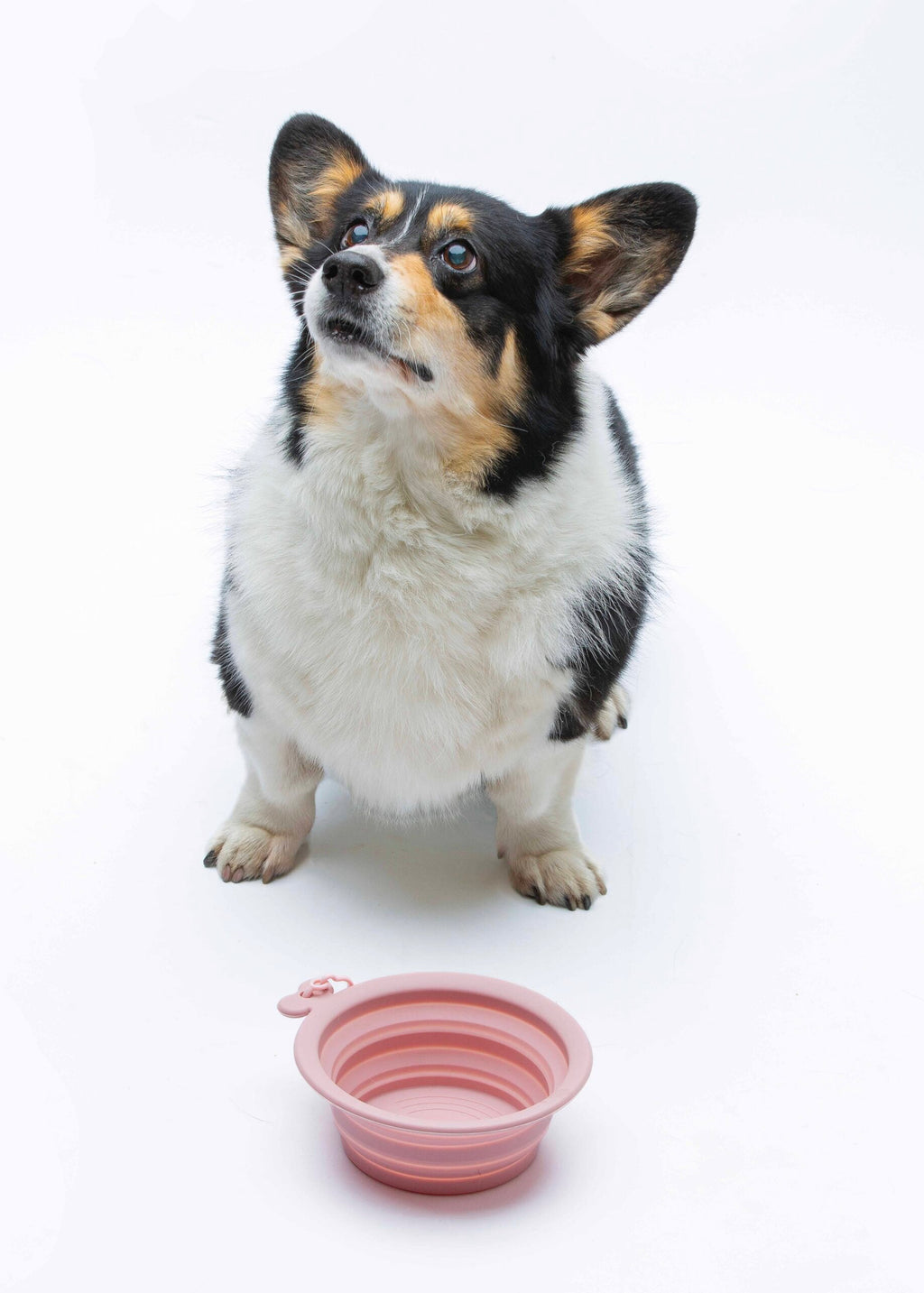 United Pets O-Bowl roze opvouwbare hondenvoerbak – siliconen reis voerbak