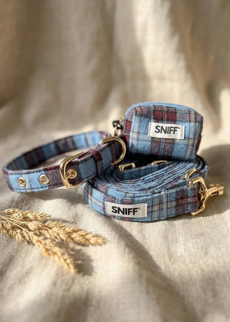 Zachte hondenhalsband en handsfree riem met klassieke uitstraling