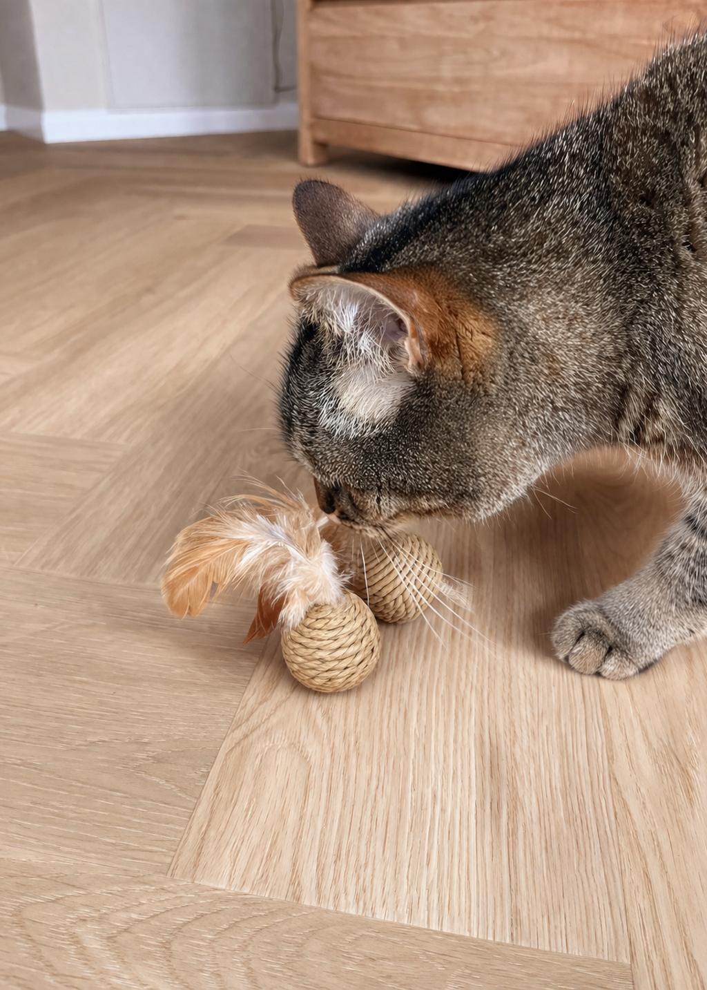Lou, Speelbal Naturel set kattenspeeltjes met veertjes en geluidje