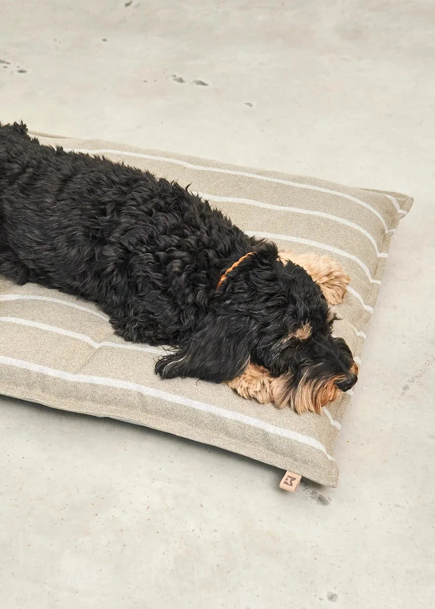 Hond ligt comfortabel op het MiaCara Riga hondenkussen